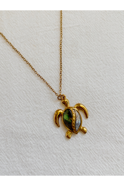 Turtle Chain - FC022